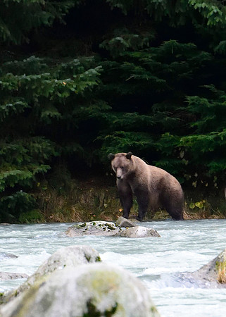 Alaska2016_LAK1340c