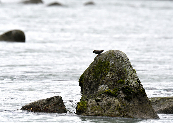 Alaska2016_LAK1553c