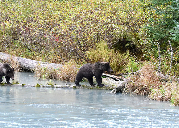 Alaska2016_LAK1650cc