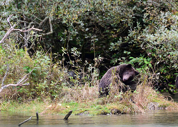 Alaska2016_LAK1720c