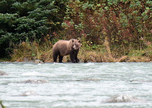 Alaska2016_LAK1456cc