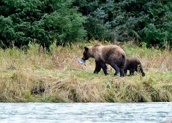 Alaska2016_LAK1531cc