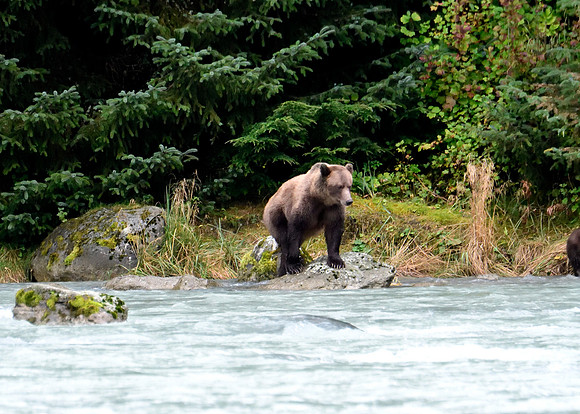 Alaska2016_LAK1503c