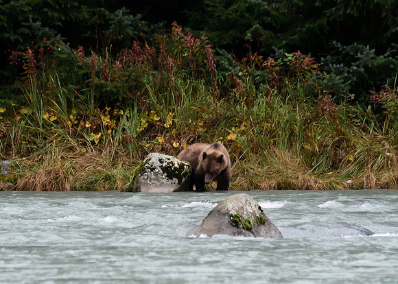 Alaska2016_LAK1484c