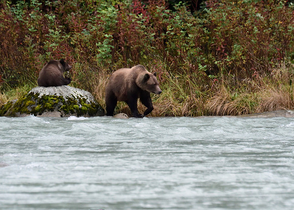Alaska2016_LAK1466c