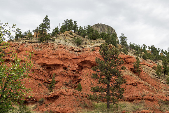 Devils Tower-9515