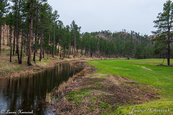 Black-Hills-MAK_8347