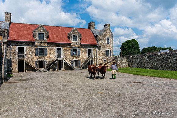 LakeGeorge-LAK_9103