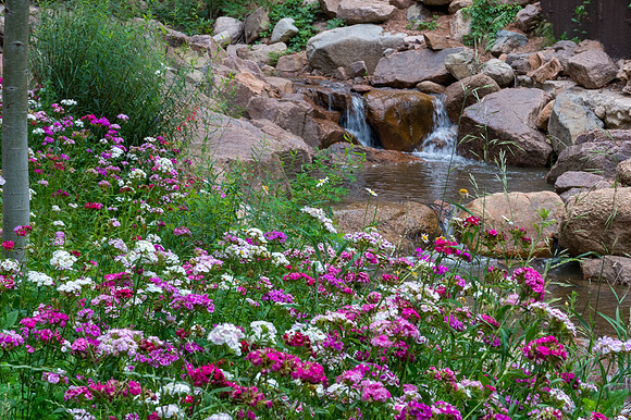Colorado-MAK_9970