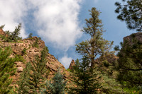 Colorado Landscapes