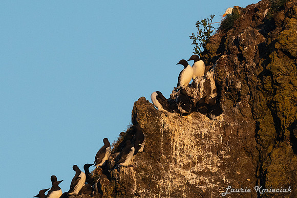 Cannon-Beach-LAK_1787