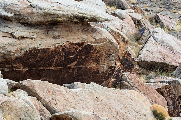 Petrified Forest-MAK_6181