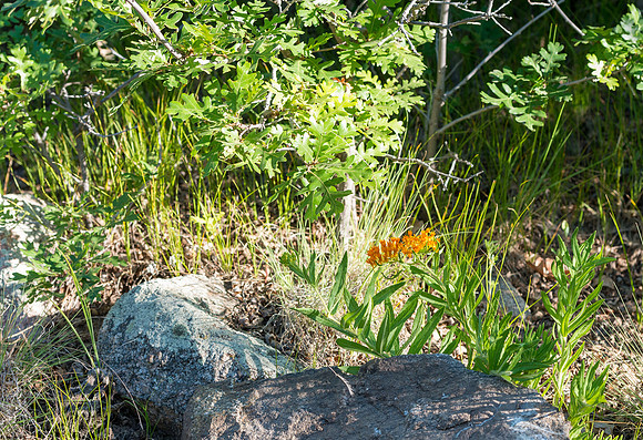 Colorado-MAK_8673