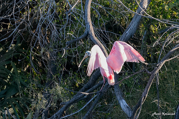 Edenburg Wetlands-MAK_3953