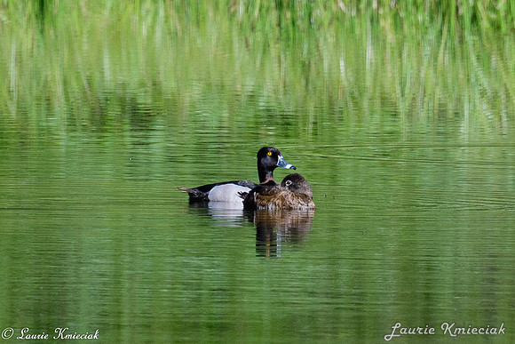 untitledLAK_0921