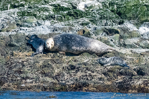 Nwhidby-LAK_3906
