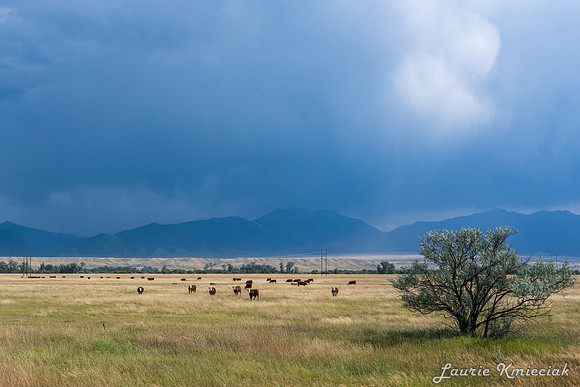 Ennis MT-LAK_8787