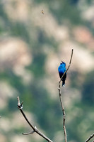 Colorado-MAK_0238