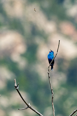 Colorado-MAK_0238