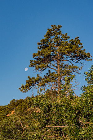 Colorado-MAK_9476