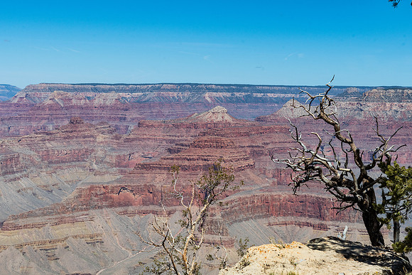 grand-canyon-np-LAK_6344
