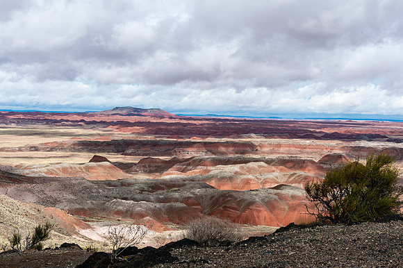 Petrified Forest-MAK_6117