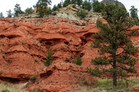 Devils Tower-9518