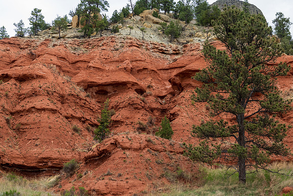 Devils Tower-9518