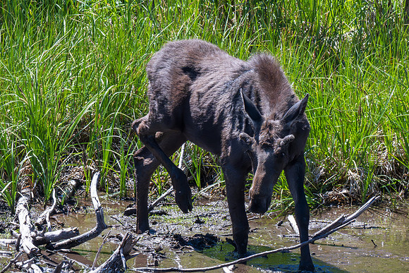 Grand Teton _MAK6174-Enhanced-NR