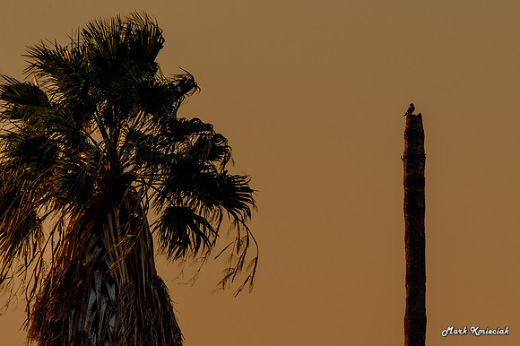 Santa-Ana-wildlife-MAK_2673