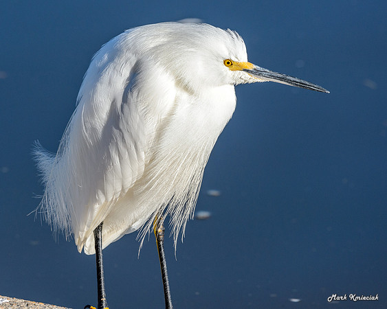 Edenburg Wetlands-MAK_3863