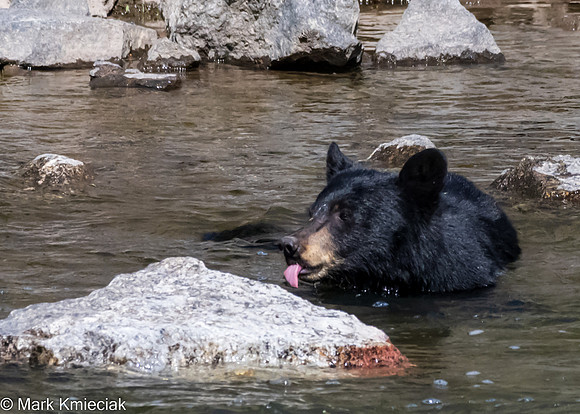 Beartrap Canyon-_MAK0864