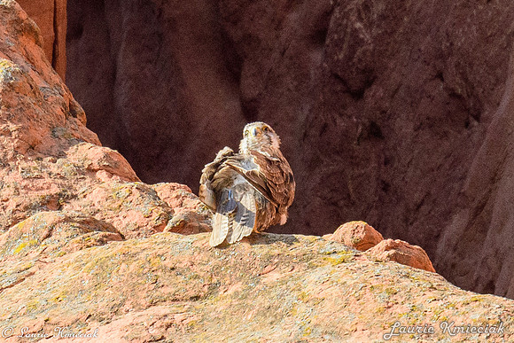 colorado-LAK_1695