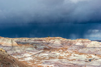 Petrified Forest-MAK_6343