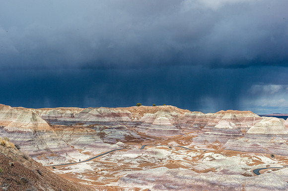 Petrified Forest-MAK_6343