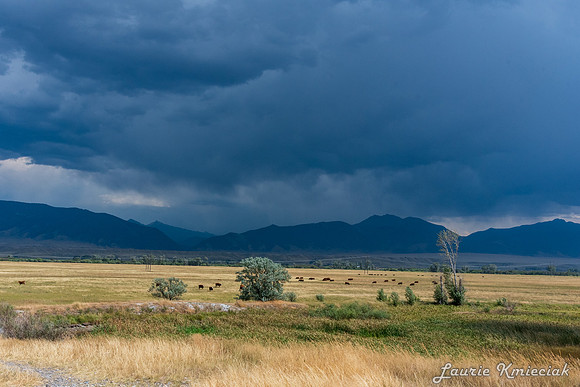 Ennis MT-LAK_8781