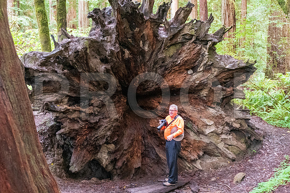 Crescent City CALAK_1137
