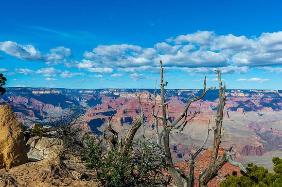 Grand Canyon-MAK_6430-HDR