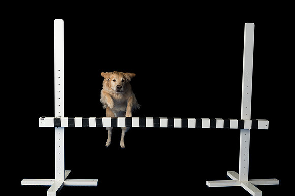 Kila-Spirits Goldens-052