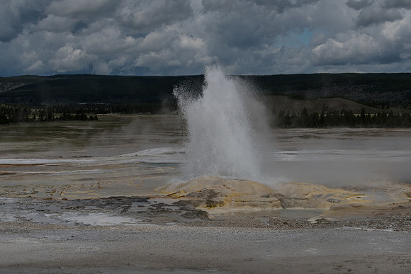 yellowstonetc-7315