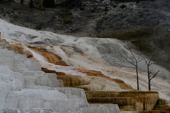 yellowstonetc-7575