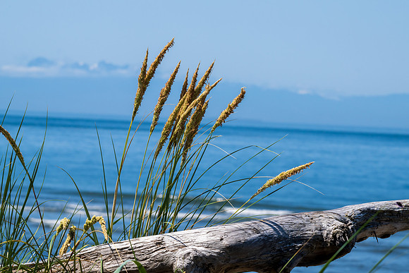 Whidbey Island-_MAK8163