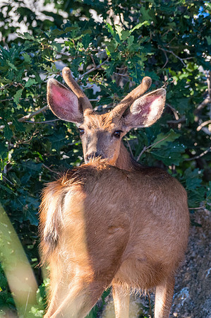 Colorado-MAK_0088