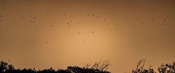 Migration _MAK2822-Enhanced-NR