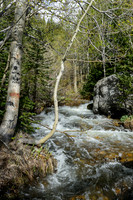 NationalParks-MAK_4271