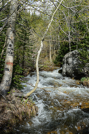 NationalParks-MAK_4271