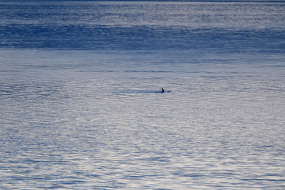Alaska2016_LAK0776c