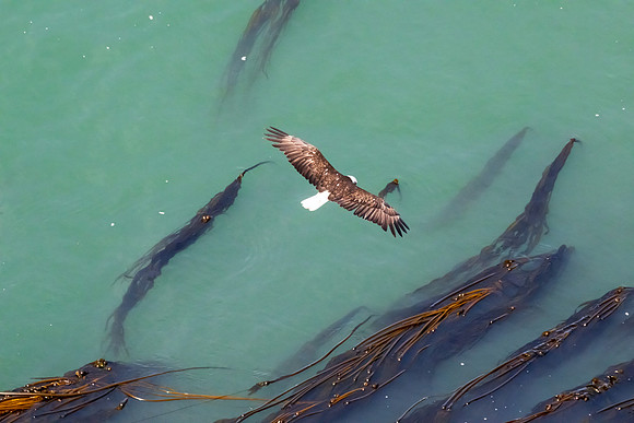 FBWhidbey Island-_MAK7912