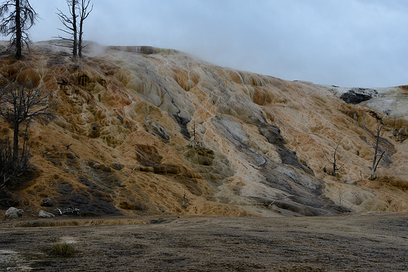 yellowstonetc-7556