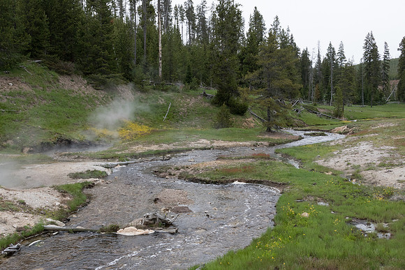 yellowstonetc-7587
